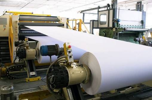 paper industry